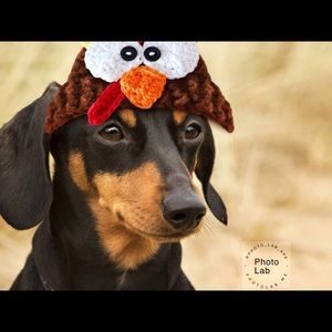 Meet your Posher, Steven